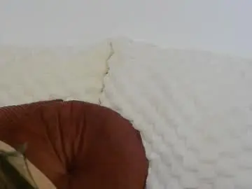 Chaturbate Best live sex cam show of madisondesire