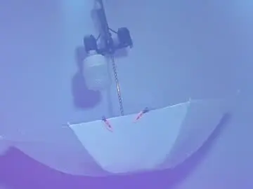 Chaturbate Adult Webcams of sam_naughty18