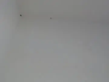 Chaturbate Best live sex cam show of drako_monstercock