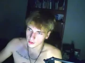 Chaturbate Sex Cam of thevincegray