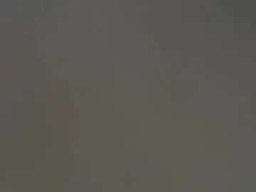 Chaturbate Best Webcam of salamandertime