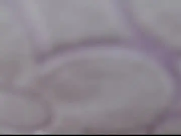 Chaturbate Sex Cam of papipandarious