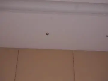 Chaturbate Free Porn Cam of taitehambelton