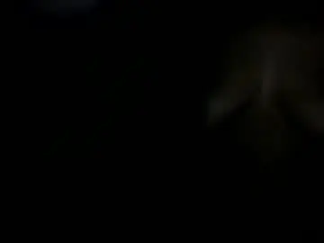 Chaturbate Live Sex of nasty_slut87