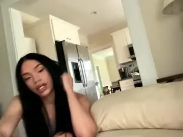 Chaturbate Live Sex of dynasty313