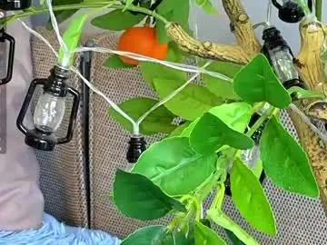 Chaturbate Live Sex of sinfulfairy