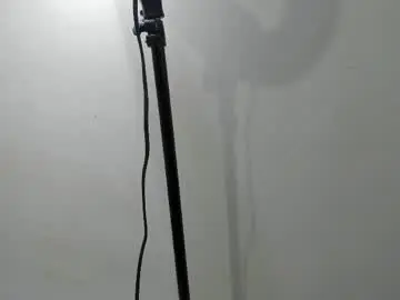 Chaturbate Nude Webcam of dylan_brook