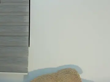Stripchat Live Porn of bella_hadid1_