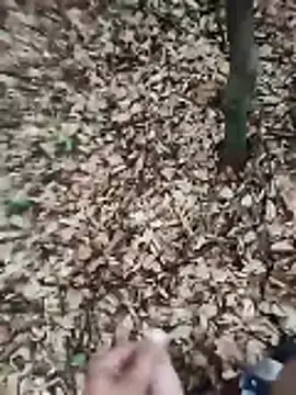 Stripchat Best live sex cam show of sexyboybi55555