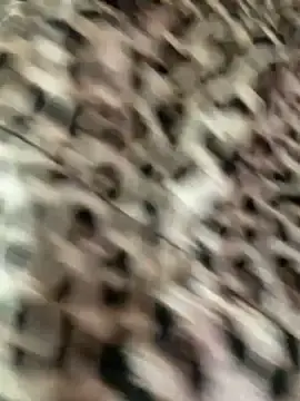 Stripchat Watch Live Sex Cams of Alimela