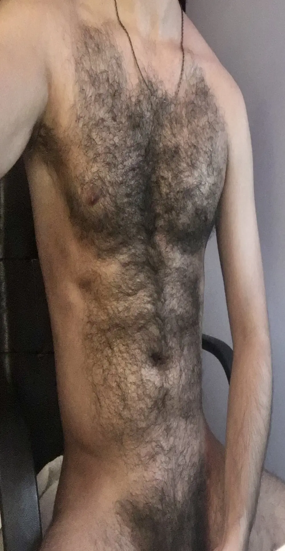 nicehairystud