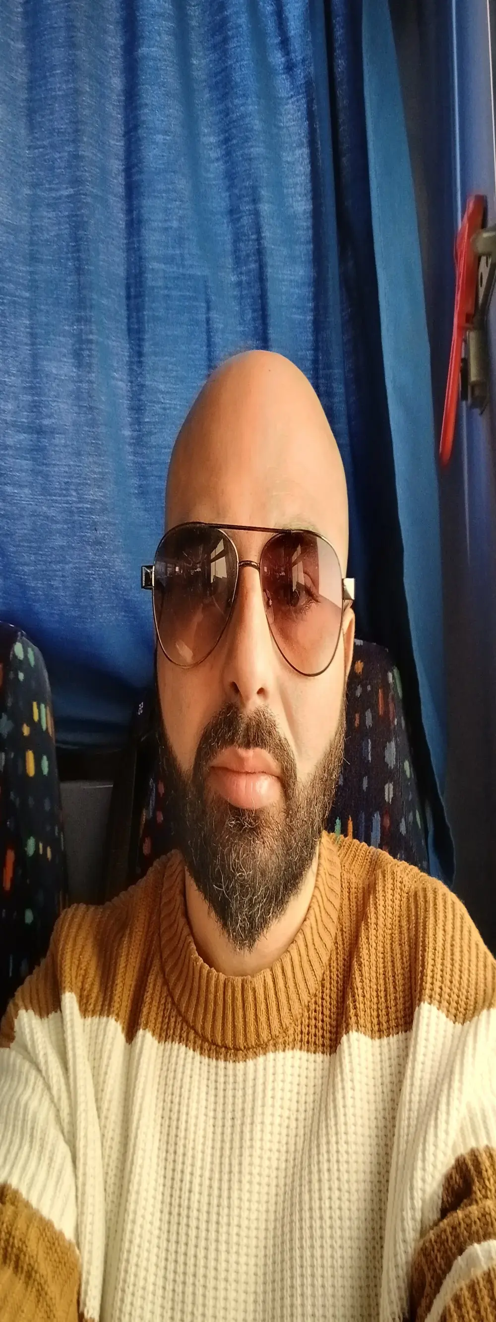 Denisilboss