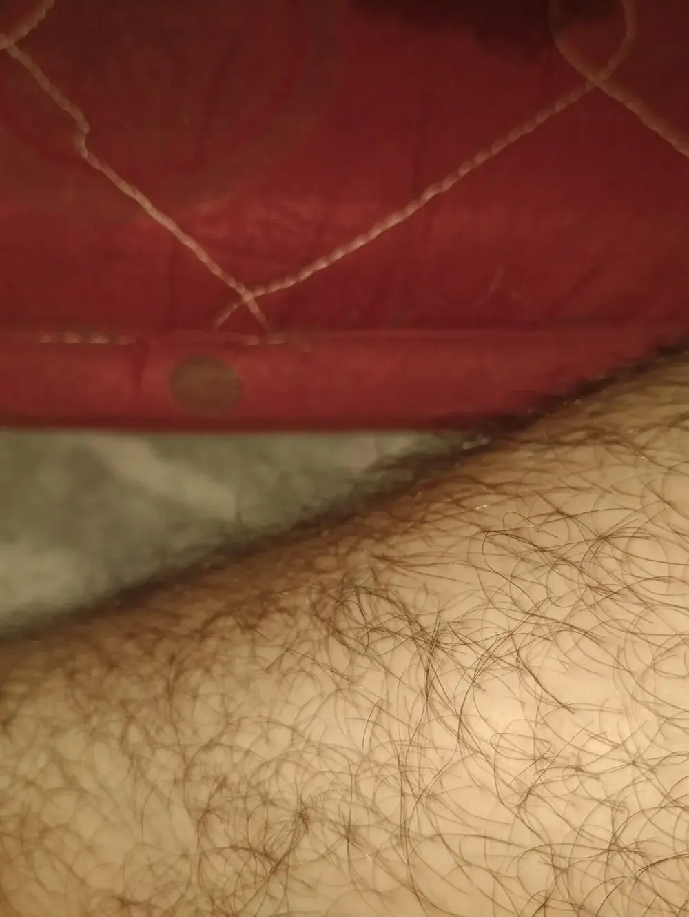 Hairyboysexy1