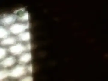 Stripchat Adult Webcam of Gigadickman
