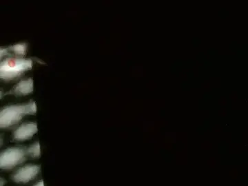 Stripchat Free Porn Cam of Gigadickman