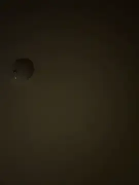Stripchat Free Porn Cam of moonlightlove1