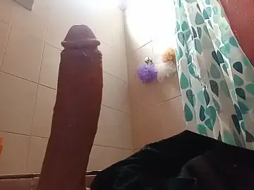 Stripchat Nude Webcam of dibou69