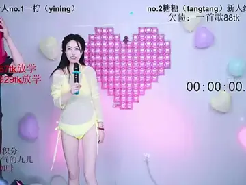 Stripchat Nude Webcam of CCTW-100