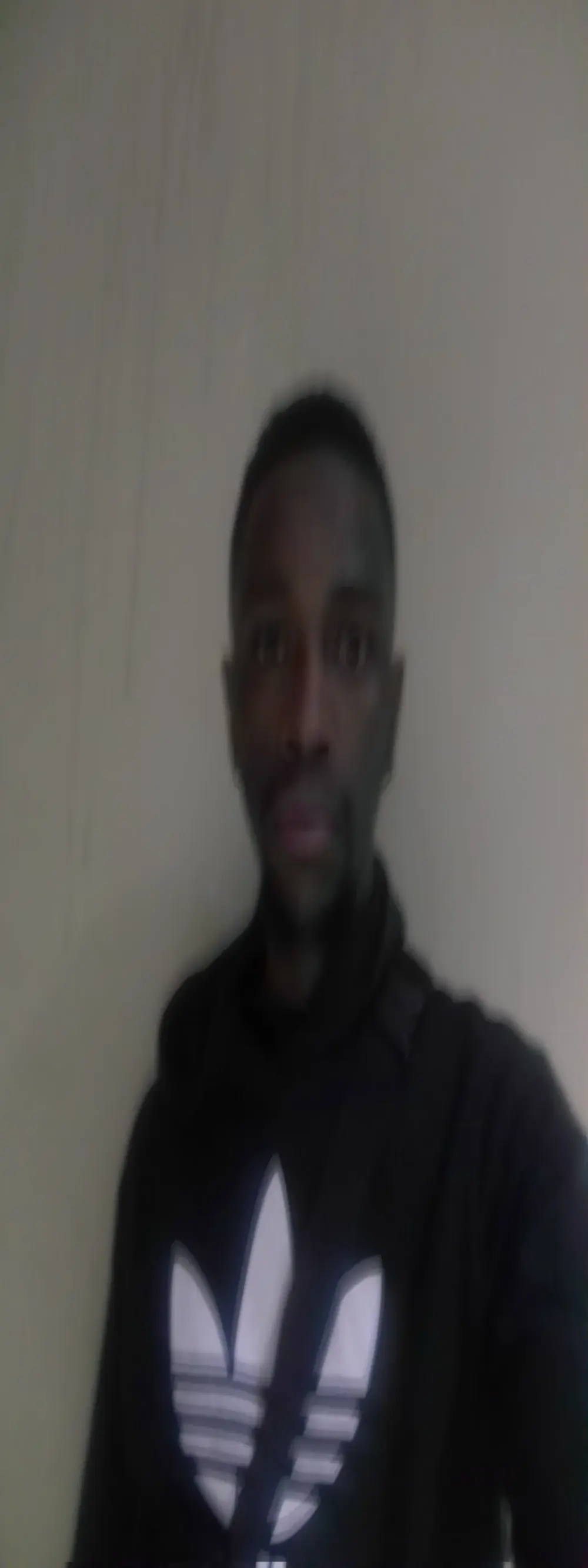 Dandelion_enigman