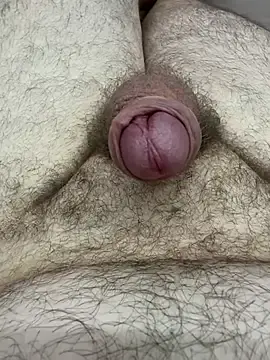 Stripchat Free Live Porn of ilikeanalhehe