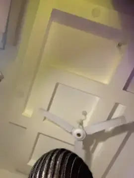 Stripchat Best Webcam of t-Booty_risky_