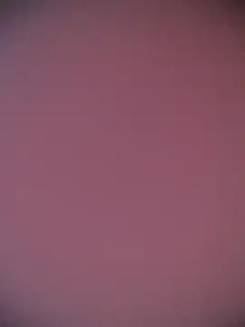 Stripchat Adult Webcam of alana_69