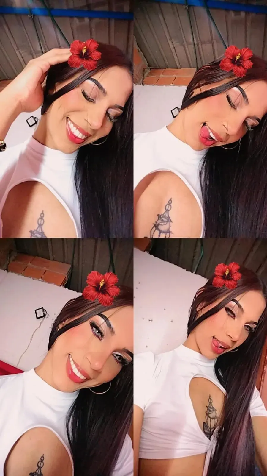 Charlotte_Oficial