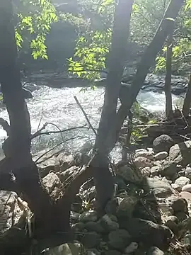 Stripchat Live Sex of TurkeyMen