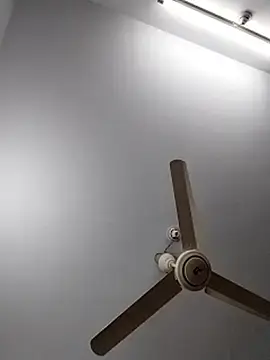 Stripchat Best Webcam of BD_sunny_leone