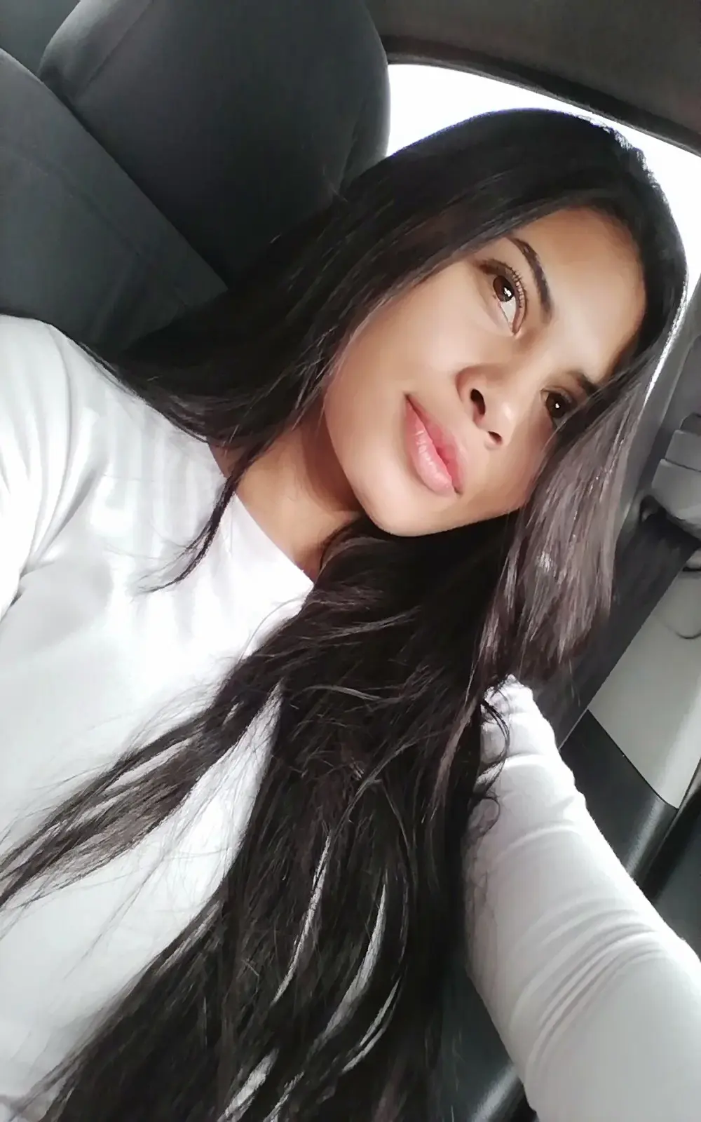 dakota_wh
