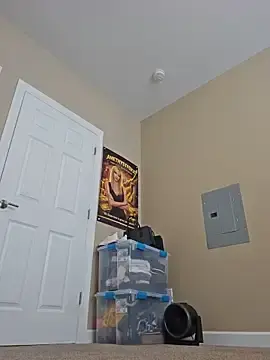 Stripchat Best Webcam of AmethystFoxx
